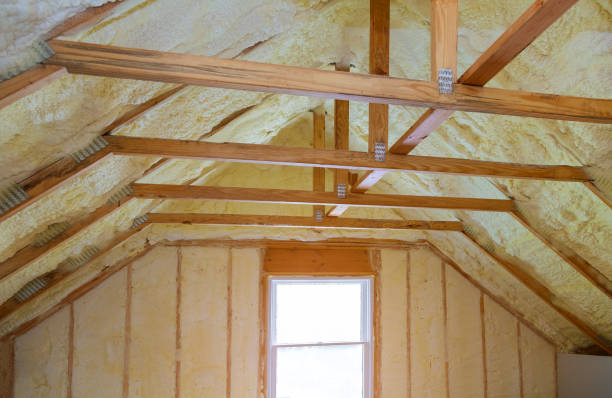 Best Commercial Insulation Contractor  in Los Fresnos, TX