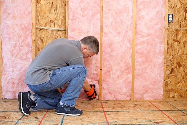 Best Insulation for Commercial Buildings  in Los Fresnos, TX