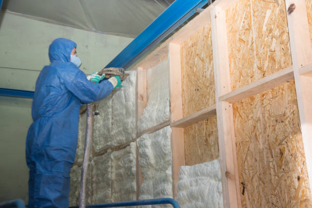 Best Crawl Space Insulation  in Los Fresnos, TX